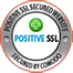 SSL-Zertifikat Logo